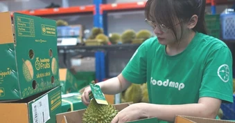 Sầu riêng lao dốc, hàng sạch chuẩn kiểm định vẫn bán giá cao