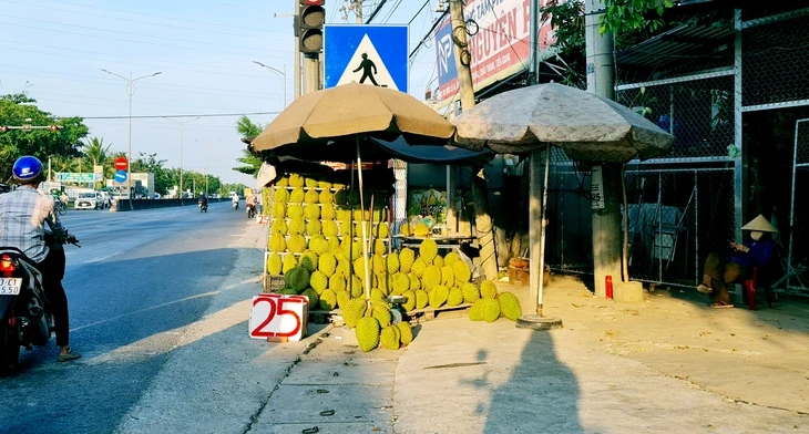 Sầu riêng rớt giá, bày bán đầy đường chỉ từ 25.000 đồng/kg Sầu riêng rớt giá, bày bán đầy đường chỉ từ 25.000 đồng/kg