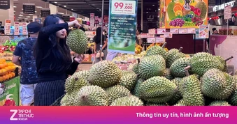 Sầu riêng rớt giá: Kẻ khóc, người cười