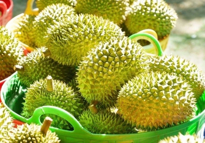 Sầu riêng rớt giá: Lối ra nào cho 'vua' trái cây?