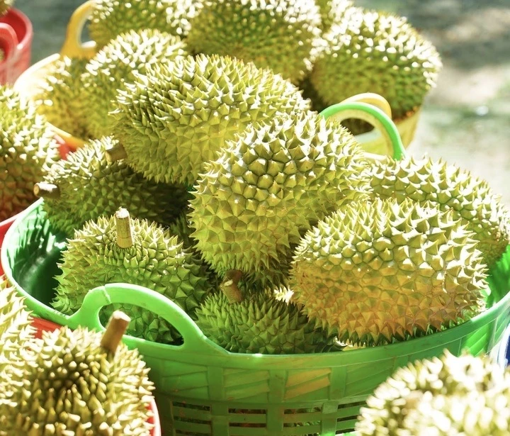 Sầu riêng rớt giá: Lối ra nào cho 'vua' trái cây?