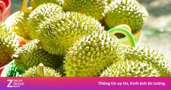 Sầu riêng rớt giá: Lối ra nào cho 'vua' trái cây?