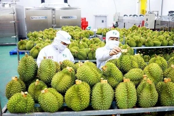 Sầu riêng 'tắc' kiểm nghiệm Cadimi, rớt giá: Đang làm việc với Trung Quốc Sầu riêng 'tắc' kiểm nghiệm Cadimi, rớt giá: Đang làm việc với Trung Quốc