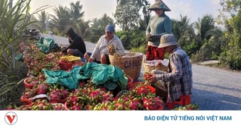 Sầu riêng và thanh long rớt giá