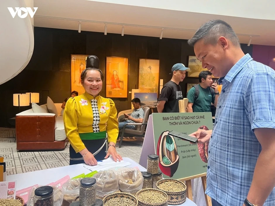 Sơn La - nâng vị thế vùng nguyên liệu cà phê Arabica lớn nhất Việt Nam Sơn La - nâng vị thế vùng nguyên liệu cà phê Arabica lớn nhất Việt Nam