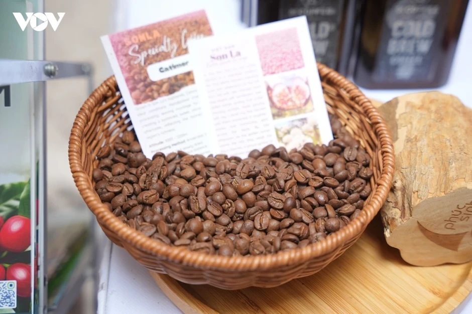 Sơn La - nâng vị thế vùng nguyên liệu cà phê Arabica lớn nhất Việt Nam Sơn La - nâng vị thế vùng nguyên liệu cà phê Arabica lớn nhất Việt Nam