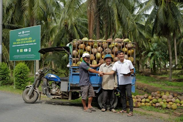 Tái sinh vườn dừa: Lời tri ân từ một doanh nghiệp nửa thế kỷ gắn bó với cây dừa Tái sinh vườn dừa: Lời tri ân từ một doanh nghiệp nửa thế kỷ gắn bó với cây dừa