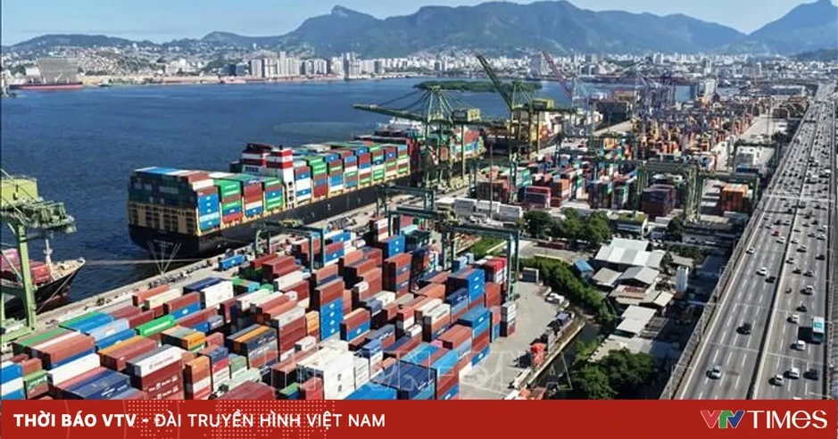 Tận dụng giá cước container hạ nhiệt để xuất hàng sớm Tận dụng giá cước container hạ nhiệt để xuất hàng sớm