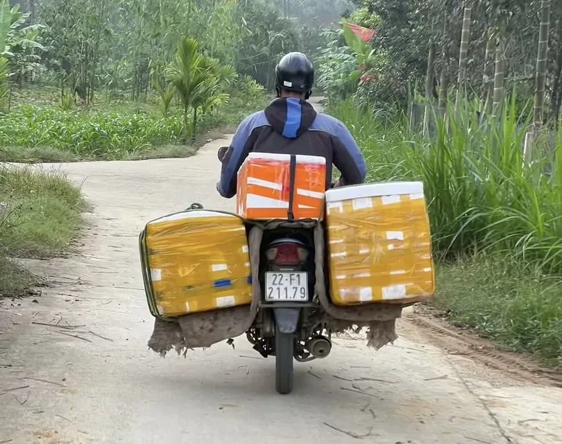 Tết Trung thu, các loại hồng đặc sản vào mùa Tết Trung thu, các loại hồng đặc sản vào mùa