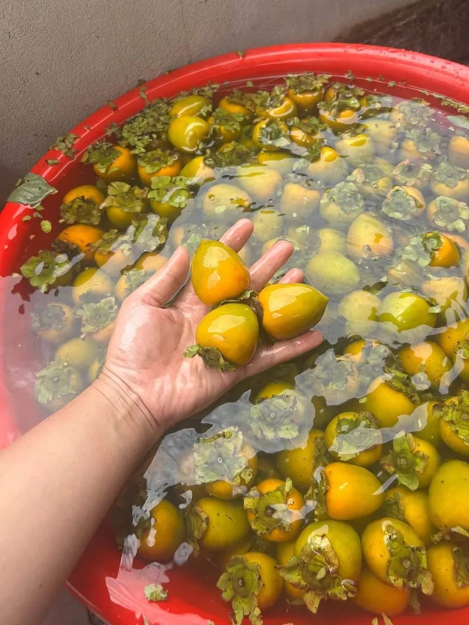 Tết Trung thu, các loại hồng đặc sản vào mùa Tết Trung thu, các loại hồng đặc sản vào mùa