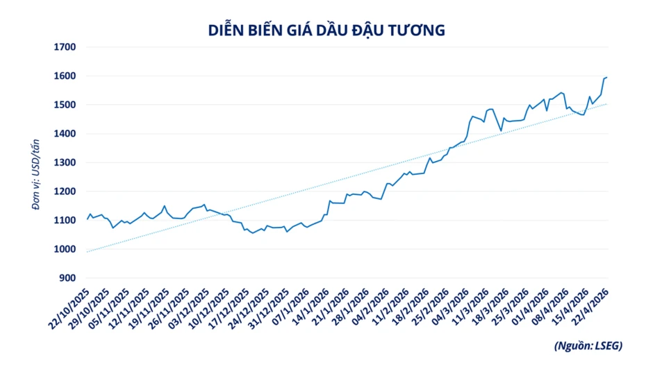 Thị trường dầu thô giằng co vì địa chính trị, giá dầu đậu tương lập đỉnh 3 năm Thị trường dầu thô giằng co vì địa chính trị, giá dầu đậu tương lập đỉnh 3 năm