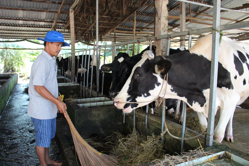 Thị trường sữa Việt Nam tăng mạnh, New Zealand dẫn đầu nguồn cung Thị trường sữa Việt Nam tăng mạnh, New Zealand dẫn đầu nguồn cung