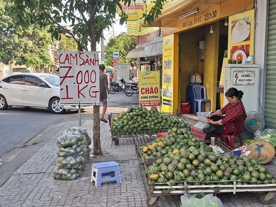 Thị trường trái cây tại TPHCM: Hàng dồi dào, giá rẻ nhưng vắng người mua
