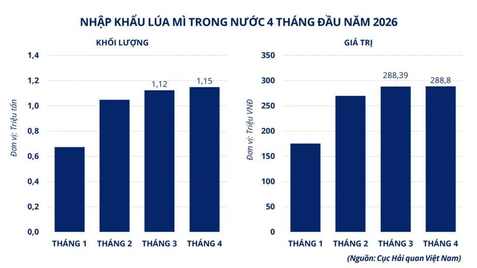 Thiếu cung đẩy giá cao su lên cao nhất 9 năm, MXV-Index nối dài đà phục hồi Thiếu cung đẩy giá cao su lên cao nhất 9 năm, MXV-Index nối dài đà phục hồi