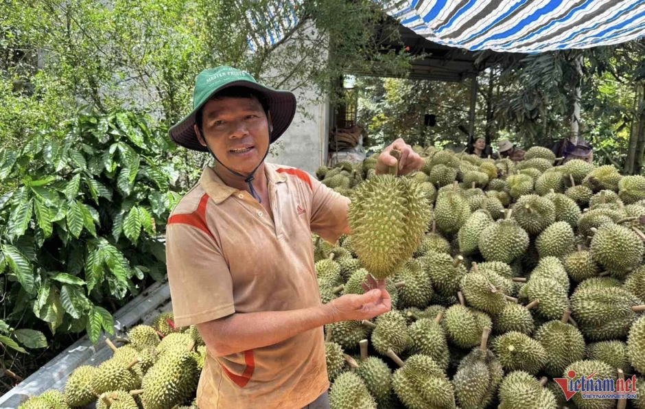 Thịt nhập khẩu giá rẻ bất ngờ; sầu riêng báo động dư thừa, giá giảm Thịt nhập khẩu giá rẻ bất ngờ; sầu riêng báo động dư thừa, giá giảm