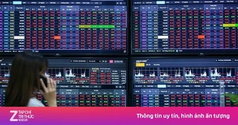 Thu nhập giảm kỷ lục, môi giới chứng khoán 'khóc ròng'