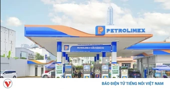 Thứ trưởng Bộ Công Thương khẳng định xăng E10 chưa ghi nhận tác động tiêu cực