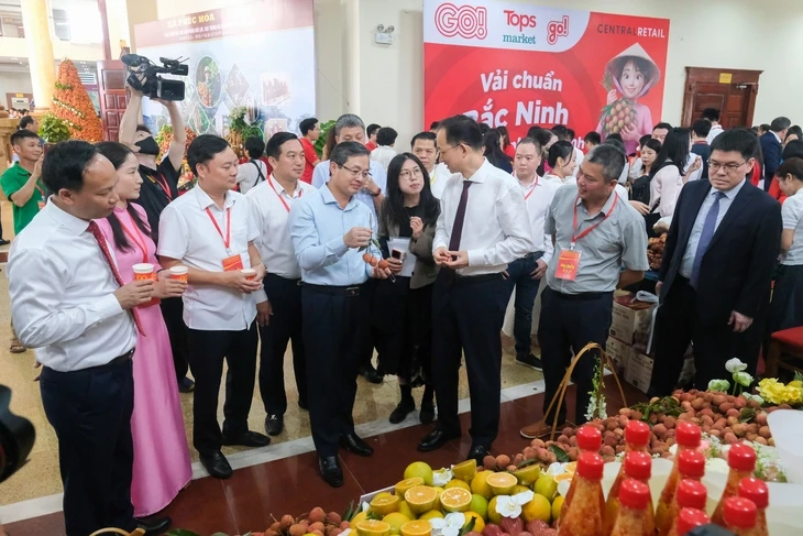Thứ trưởng Bộ Công Thương: Vải thiều Bắc Ninh hướng tới nhận diện cao cấp, đáng tin cậy Thứ trưởng Bộ Công Thương: Vải thiều Bắc Ninh hướng tới nhận diện cao cấp, đáng tin cậy