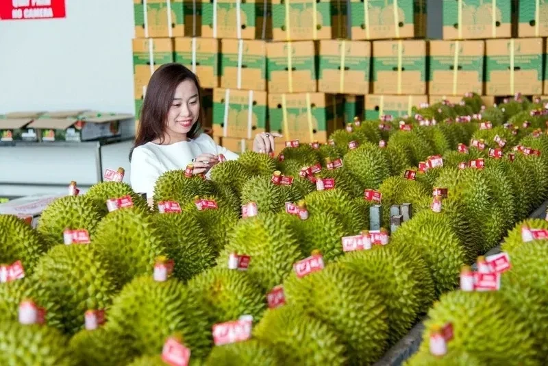 Thương mại Việt Nam - Trung Quốc tăng tốc kỷ lục Thương mại Việt Nam - Trung Quốc tăng tốc kỷ lục