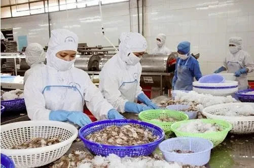 Thủy sản Việt Nam lần đầu mở rộng xuất khẩu tới 97 thị trường Thủy sản Việt Nam lần đầu mở rộng xuất khẩu tới 97 thị trường