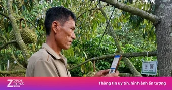 Tiết lộ về 'tờ giấy quyền lực' xuất khẩu sầu riêng