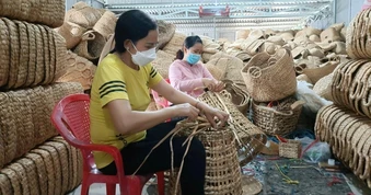 Tìm kiếm sáng kiến xanh cho ngành nghề nông thôn tại TPHCM