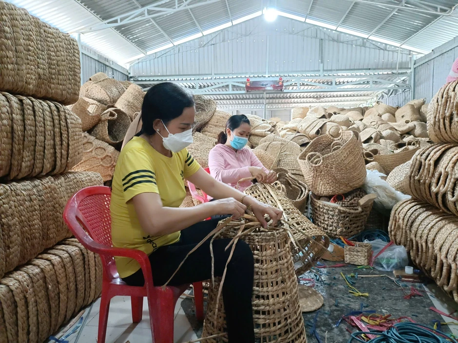 Tìm kiếm sáng kiến xanh cho ngành nghề nông thôn tại TPHCM Tìm kiếm sáng kiến xanh cho ngành nghề nông thôn tại TPHCM