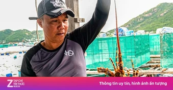 Tôm hùm Việt vượt Canada, thắng lớn ở Trung Quốc
