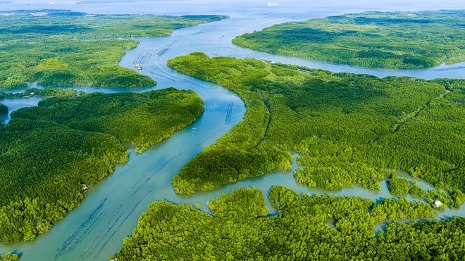 Tour trực thăng bắt đầu đón khách, TPHCM sẽ mở rộng thêm nhiều bãi đáp Tour trực thăng bắt đầu đón khách, TPHCM sẽ mở rộng thêm nhiều bãi đáp