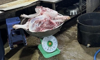 TP HCM chặn 8 tấn thịt heo, gia cầm không kiểm dịch