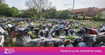 TP.HCM đấu giá 40.000 xe vi phạm làm phế liệu, có cả Vespa, SH