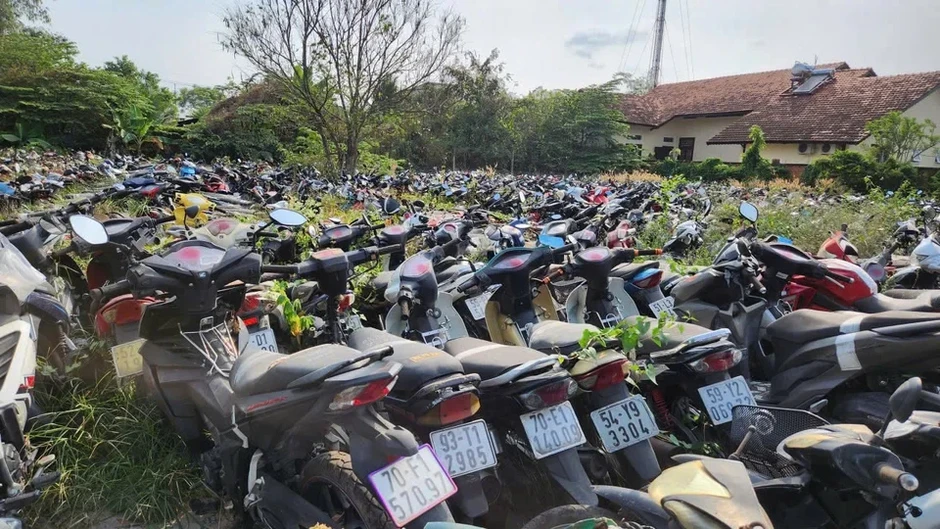 TP.HCM đấu giá 40.000 xe vi phạm làm phế liệu, có cả Vespa, SH TP.HCM đấu giá 40.000 xe vi phạm làm phế liệu, có cả Vespa, SH