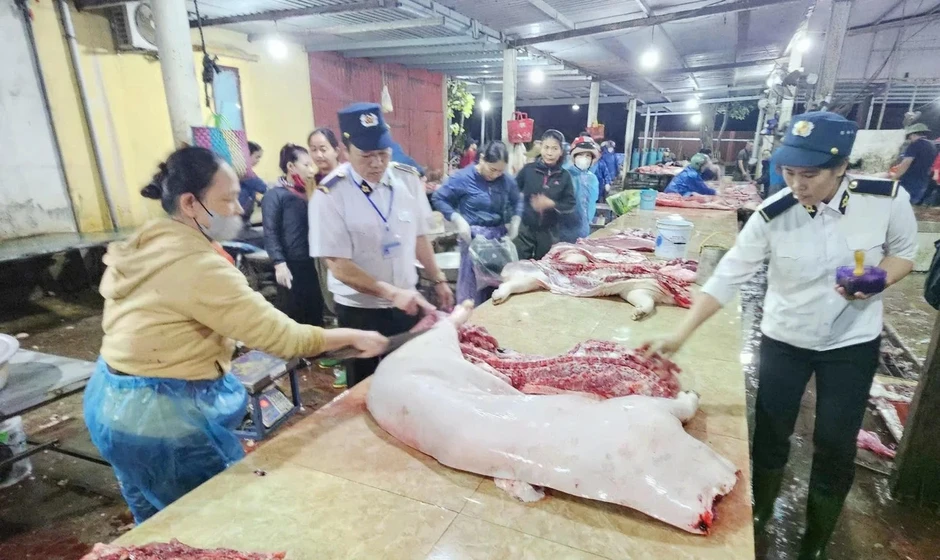 Trách nhiệm của lực lượng thú y vụ thịt lợn dịch vào trường học Trách nhiệm của lực lượng thú y vụ thịt lợn dịch vào trường học