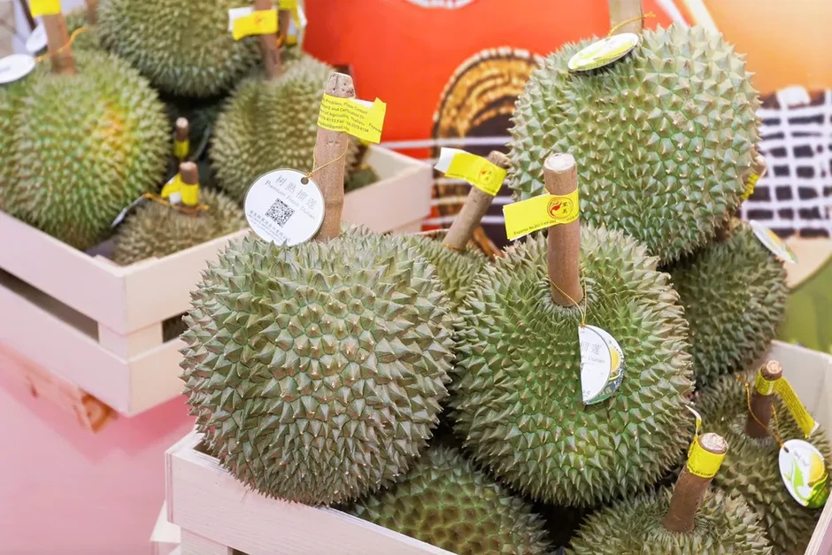 Trái cây ASEAN hội tụ tại Quảng Tây