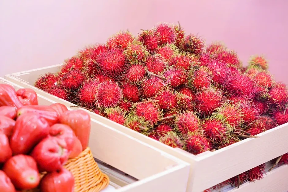 Trái cây ASEAN hội tụ tại Quảng Tây