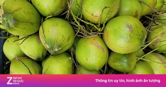 Trái dừa muốn thoát cảnh 'núp bóng' ông lớn nước ngoài