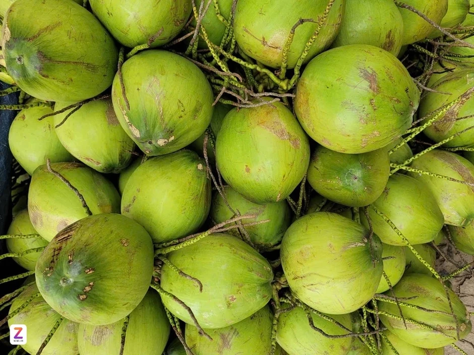 Trái dừa muốn thoát cảnh 'núp bóng' ông lớn nước ngoài