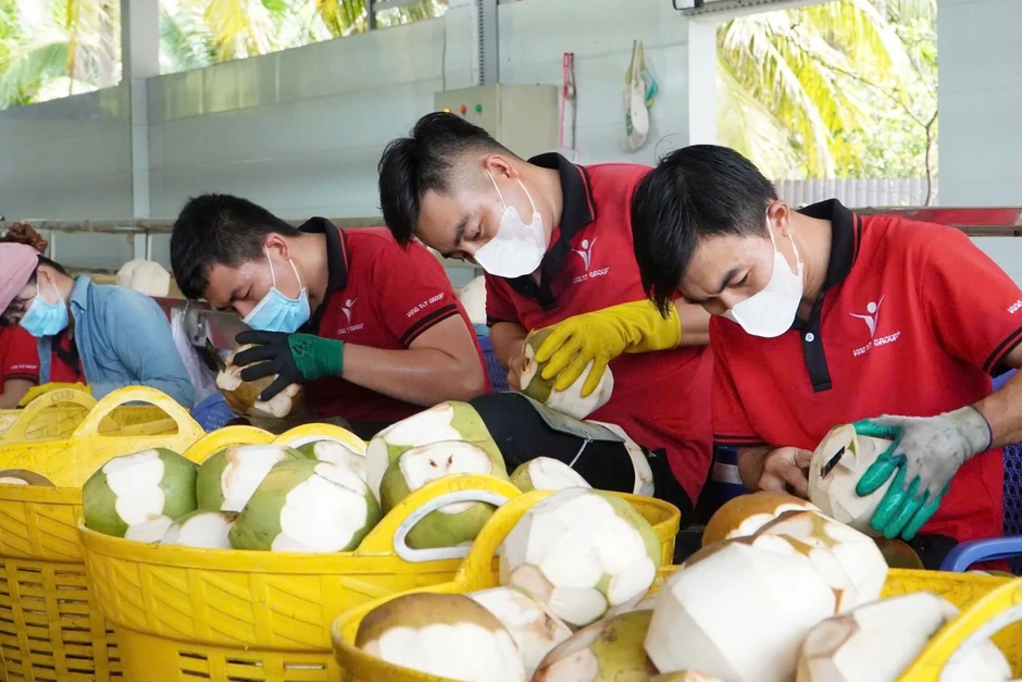 Trái dừa muốn thoát cảnh 'núp bóng' ông lớn nước ngoài