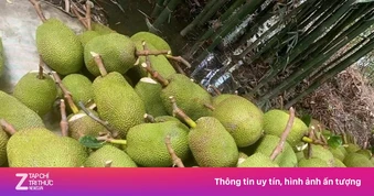 Trở tay không kịp vì giá mít 'lên đỉnh, xuống đáy'