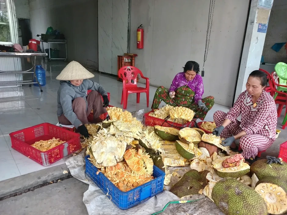 Trở tay không kịp vì giá mít 'lên đỉnh, xuống đáy' Trở tay không kịp vì giá mít 'lên đỉnh, xuống đáy'