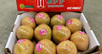 Trung Quốc được mùa với loại quả Việt Nam đang trồng rất nhiều: Châu Âu liên tục chốt đơn, diện tích trồng hơn 100.000 ha