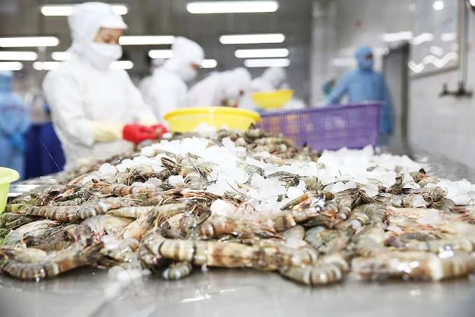 Trung Quốc, Mỹ, Nhật đua nhau đặt, Việt Nam mỏi tay đếm đơn hàng Trung Quốc, Mỹ, Nhật đua nhau đặt, Việt Nam mỏi tay đếm đơn hàng