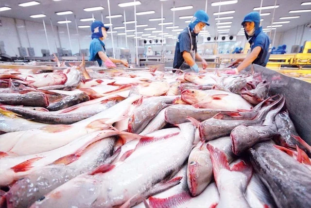 Trung Quốc, Nhật Bản, Brazil đồng loạt báo tin vui cho Việt Nam Trung Quốc, Nhật Bản, Brazil đồng loạt báo tin vui cho Việt Nam