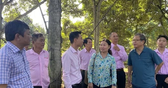Trung Quốc phê duyệt thêm 567 mã số vùng trồng và cơ sở đóng gói sầu riêng