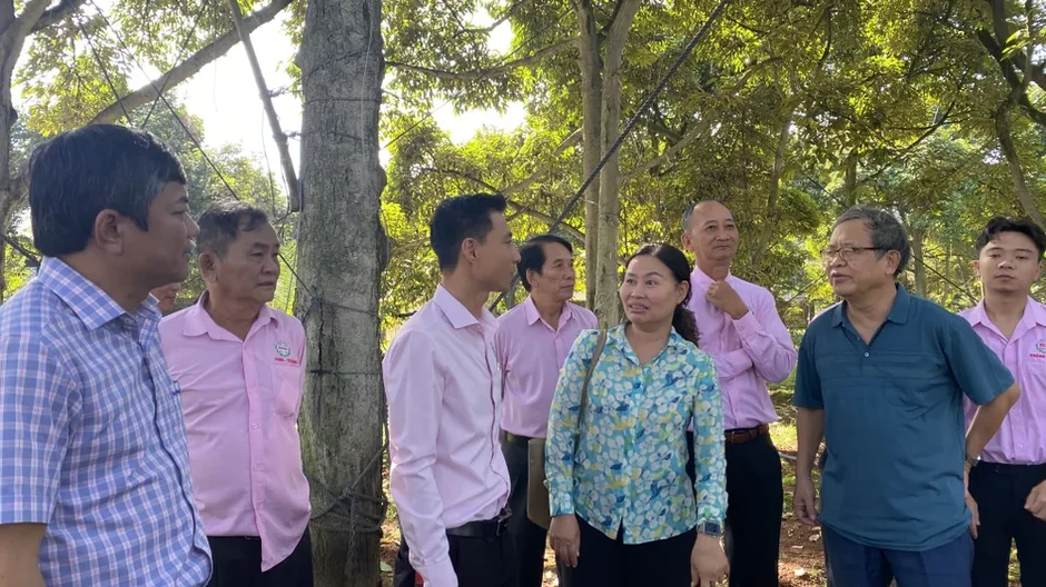 Trung Quốc phê duyệt thêm 567 mã số vùng trồng và cơ sở đóng gói sầu riêng
