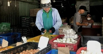 Trứng rớt giá, người nuôi lỗ nặng: Vì sao Việt Nam vẫn phải nhập bột trứng?