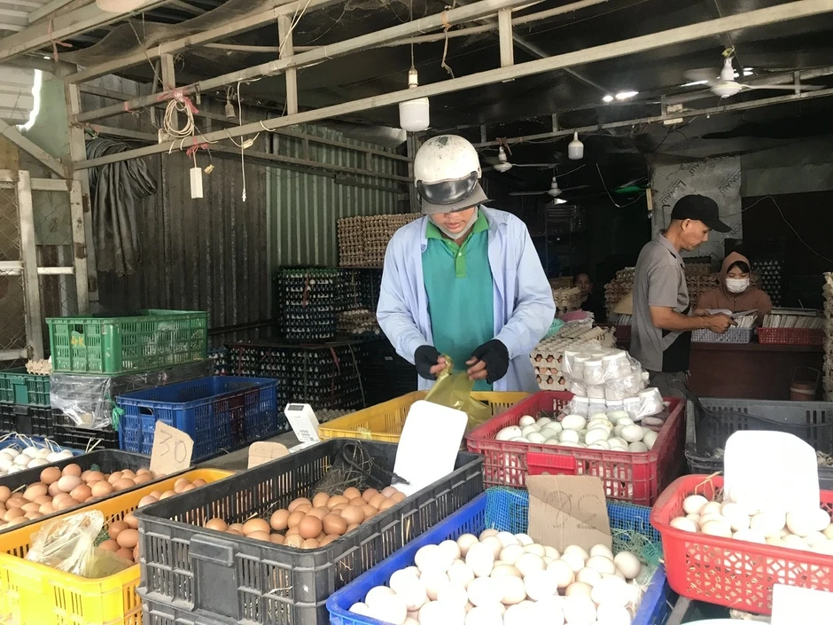 Trứng rớt giá, người nuôi lỗ nặng: Vì sao Việt Nam vẫn phải nhập bột trứng? Trứng rớt giá, người nuôi lỗ nặng: Vì sao Việt Nam vẫn phải nhập bột trứng?