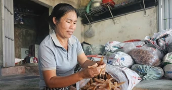 Từ củ khoai lang thành đặc sản 'hái ra tiền', cả làng thu hơn 40 tỷ đồng/năm