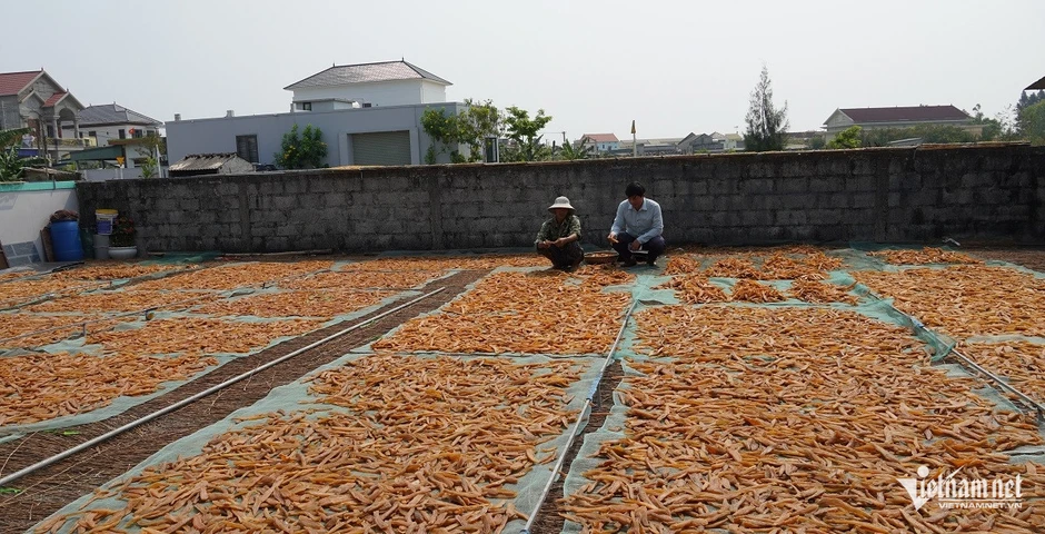 Từ củ khoai lang thành đặc sản 'hái ra tiền', cả làng thu hơn 40 tỷ đồng/năm Từ củ khoai lang thành đặc sản 'hái ra tiền', cả làng thu hơn 40 tỷ đồng/năm