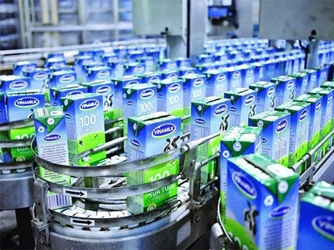 Tỷ lệ chọi 'không tưởng' khi ứng tuyển vào Vinamilk Tỷ lệ chọi 'không tưởng' khi ứng tuyển vào Vinamilk